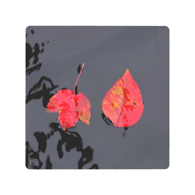 Two leaves going nowhere metal print (Front)