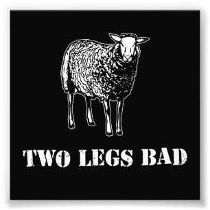 Two Legs Bad Sheep Photo Print