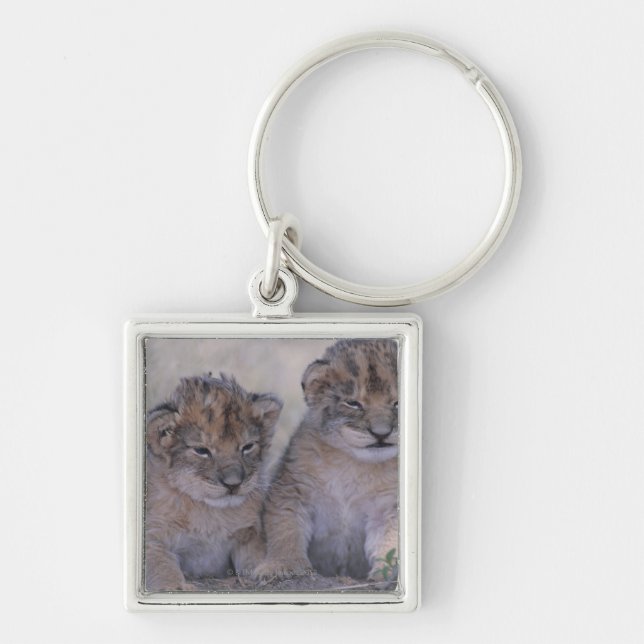 Two Lion Cubs Keychain (Front)