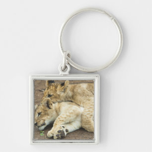 Two lions cubs playing. keychain