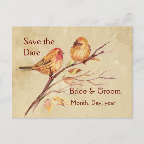 Two Little Bird Sparrows Peach Brown Rustic Nature Announcement Postcard