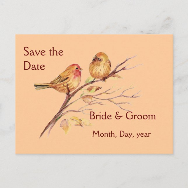 Two Little Bird Sparrows Peach Brown Rustic Nature Announcement Postcard (Front)