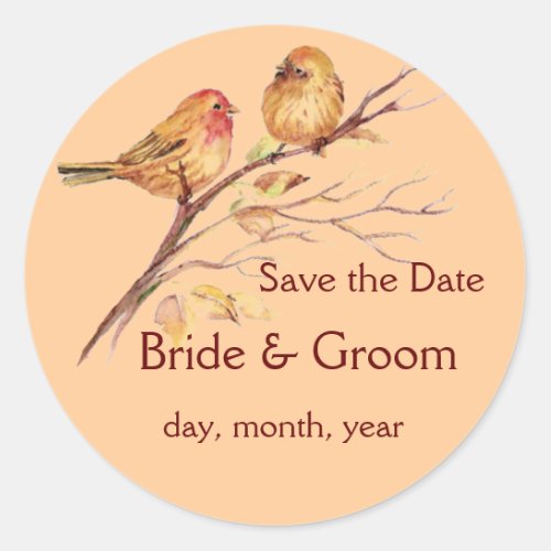 Two Little Bird Sparrows Peach Brown Rustic Nature Classic Round Sticker