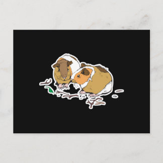 two little guinea pigs postcard
