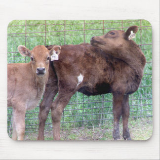 Two Little Heifers Mouse Pad