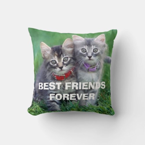 Two Little Kittens Best Friends Forever Photo Throw Pillow