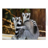 Two Little Lemurs (Front Horizontal)