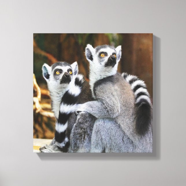 Two Little Lemurs Canvas Print (Front)
