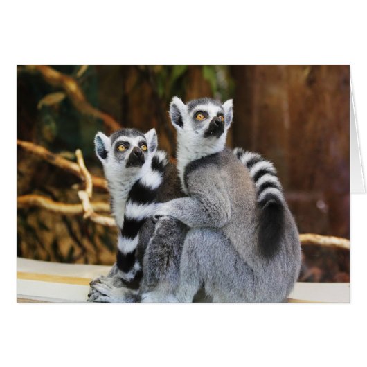 Two Little Lemurs Cards (Front Horizontal)