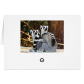 Two Little Lemurs Cards (Back Horizontal)