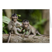 Two Little Monkeys (Front Horizontal)