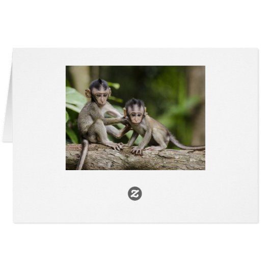 Two Little Monkeys (Back Horizontal)