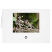 Two Little Monkeys Cards (Back Horizontal)