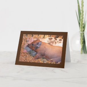 "TWO LITTLE PIGGIES" SAY **HAPPY BIRTHDAY TO YOU** CARD