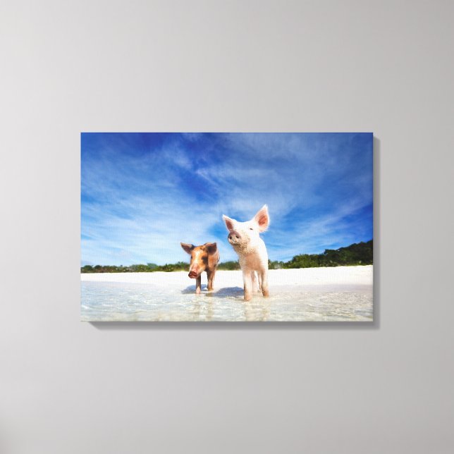Two little piglets canvas print (Front)