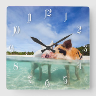 Two little piglets square wall clock