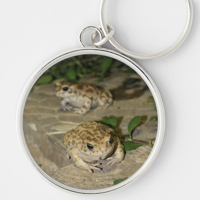 Two little toads - green frogs key chain (Front)