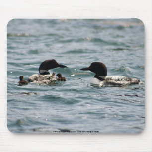 Two loons with two babies mouse pad