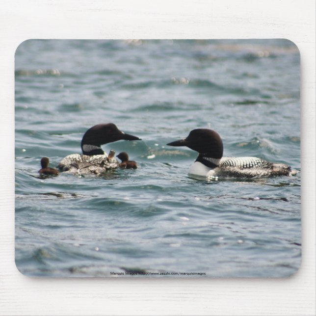 Two loons with two babies mouse pad (Front)