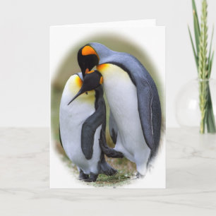Two love penguins holiday card