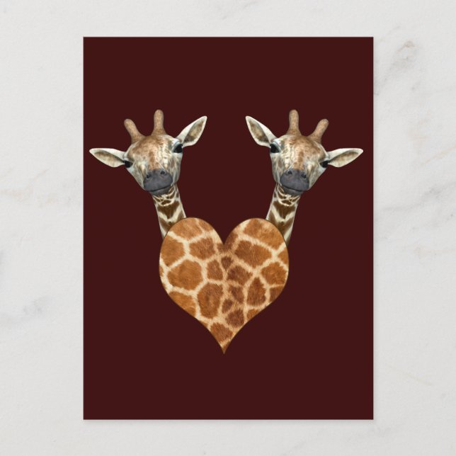 Two Lovely Giraffes Postcard (Front)