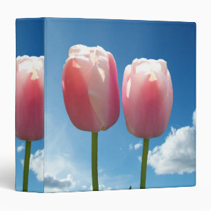 two lovely pink tulip flowers in blue sky. flower binder