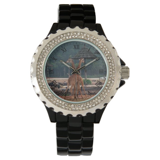 two loving giraffes watch (Front)