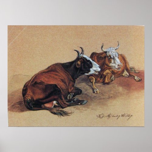 TWO LYING COWS POSTER