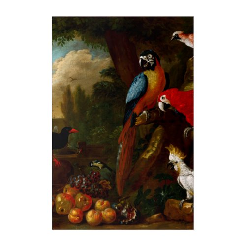 Two Macaws a Cockatoo and a Jay with Fruit Acrylic Print