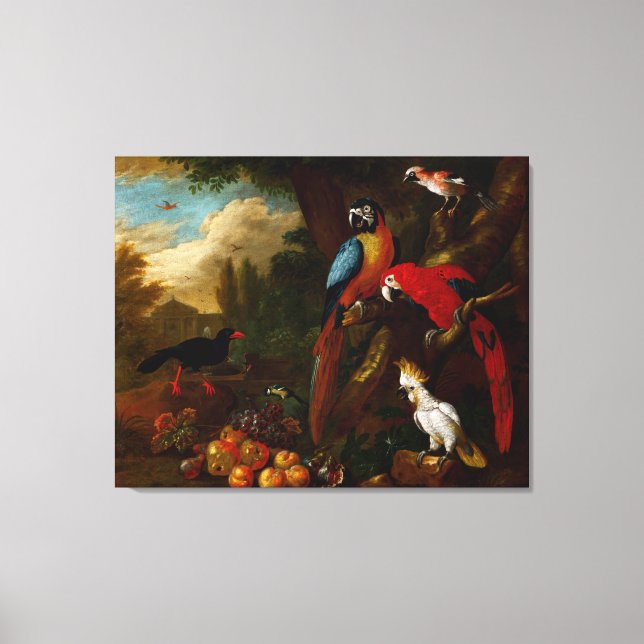 Two Macaws a Cockatoo and a Jay with Fruit Canvas Print (Front)