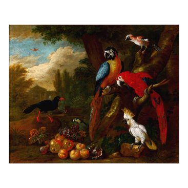 Two Macaws a Cockatoo and a Jay with Fruit Photo Print