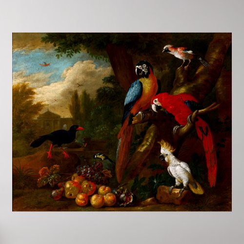 Two Macaws a Cockatoo and a Jay with Fruit Poster
