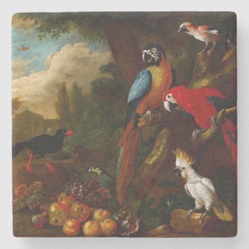 Two Macaws a Cockatoo and a Jay with Fruit Stone Coaster