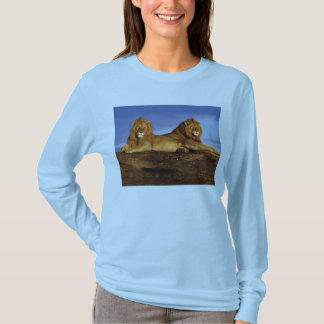 Two Male Lions t-shirt