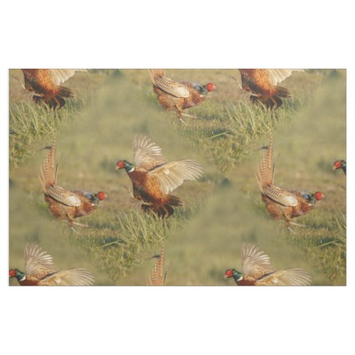 Two male ring-neck pheasants fighting. fabric