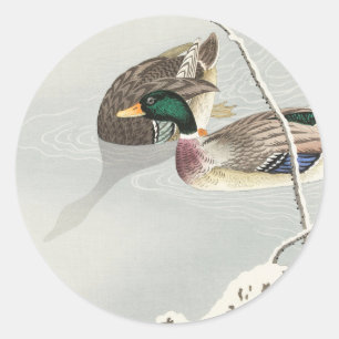 Two mallard ducks vintage classic round sticker