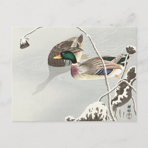 Two Mallards near a Snow_Covered Lotus Painting Postcard