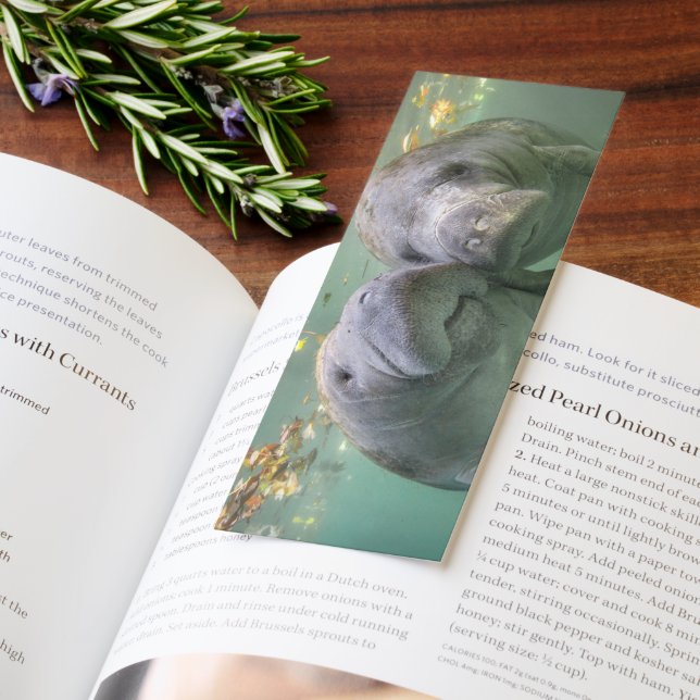 Two Manatees Bookmarks (Book)