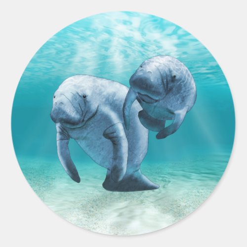 Two Manatees Swimming Classic Round Sticker