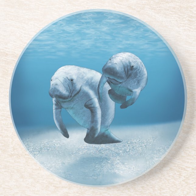 Two Manatees Swimming Sandstone Coaster (Front)