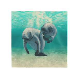 Two Manatees Swimming Wood Wall Art