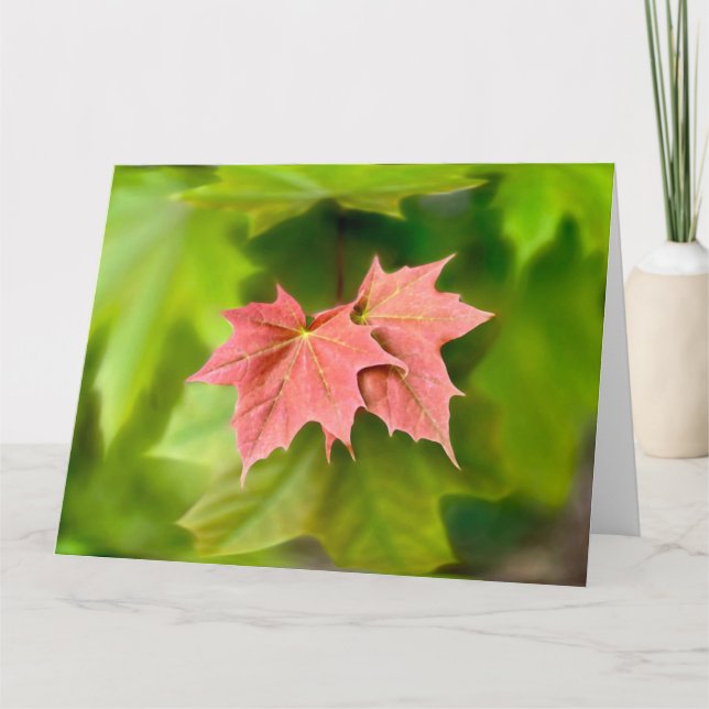 Two maple leaves card (Front)