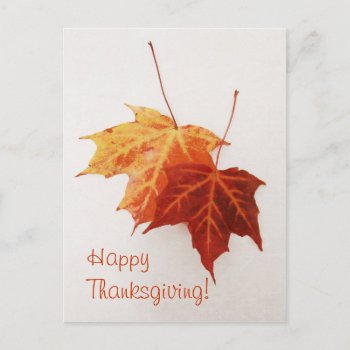 Two Maple Leaves Happy Thanksgiving Postcard by myworldtravels at Zazzle