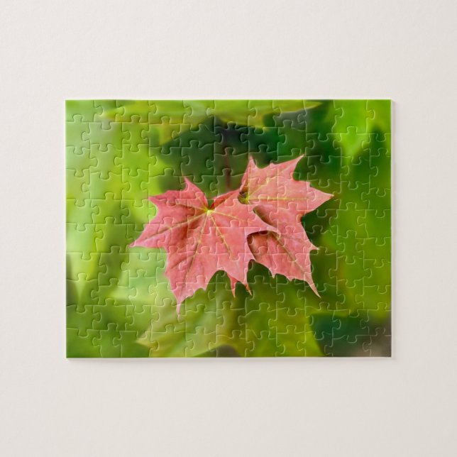 Two maple leaves jigsaw puzzle (Horizontal)