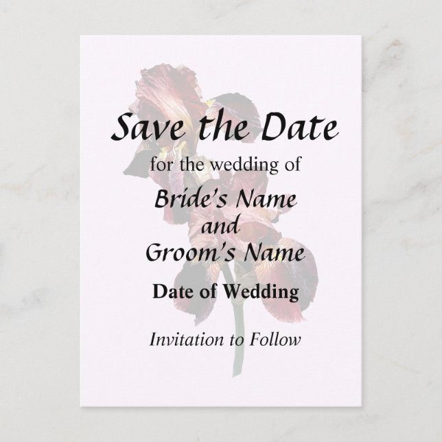 Two Maroon and Yellow Irises Announcement Postcard (Front)