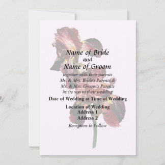 Two Maroon and Yellow Irises Invitation