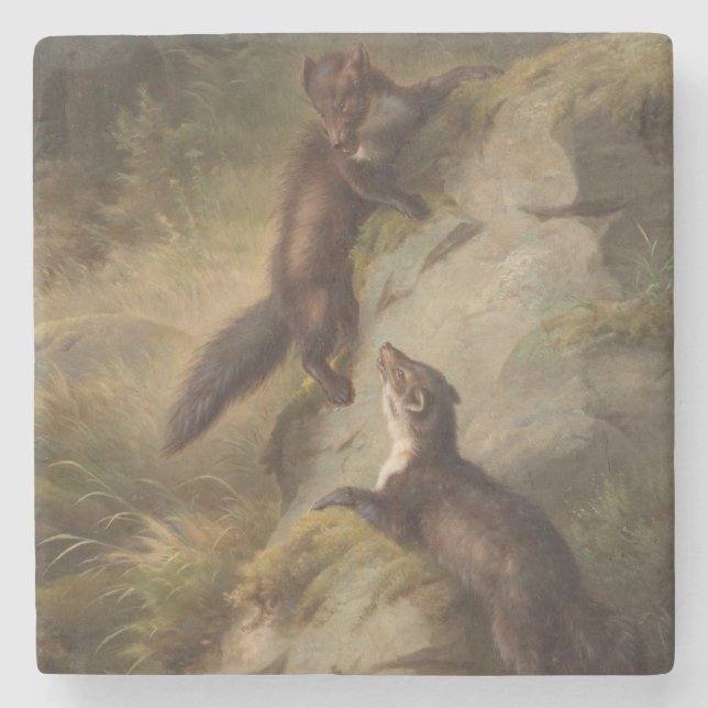 Two Martens Playfully Fighting in the Woods Stone Coaster (Front)
