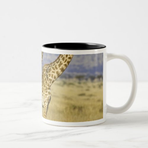 Two Masai Giraffes Giraffa camelopardalis Two_Tone Coffee Mug