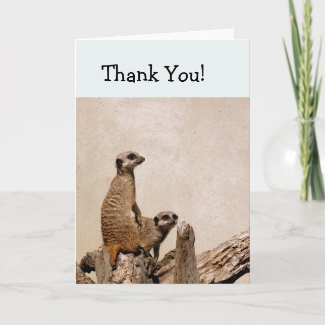 Two Meerkats Thank You Card (Front)