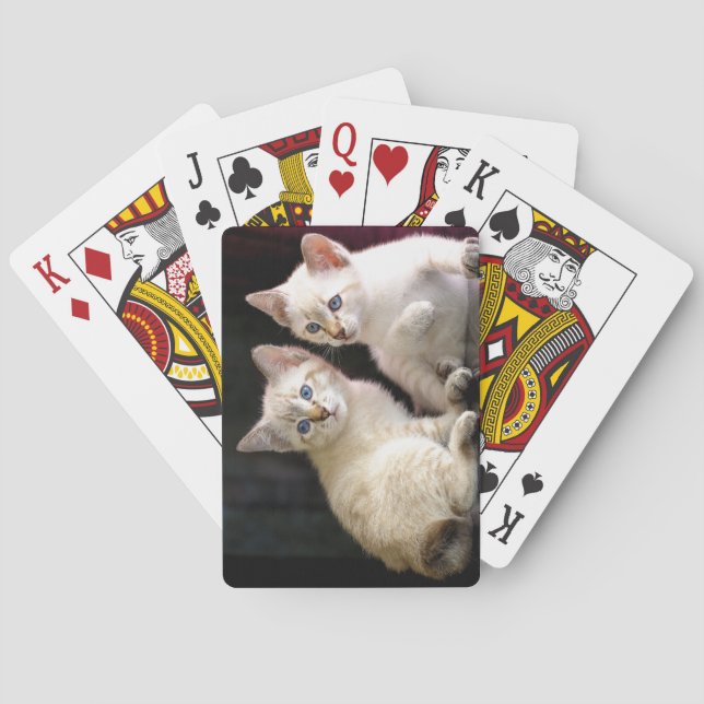Two Mekong Bobtail Tabby Point Kittens Poker Cards (Back)